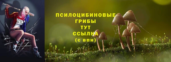 шишки Покровск