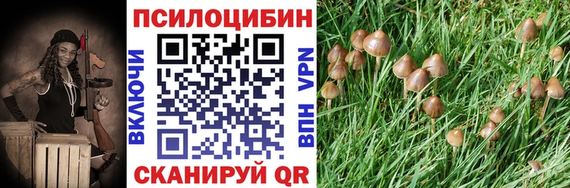 Галлюциногенные грибы Cubensis  даркнет сайт  Скопин 