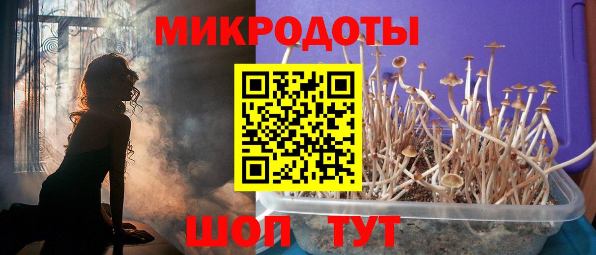 Псилоцибиновые грибы Psilocybine cubensis Скопин
